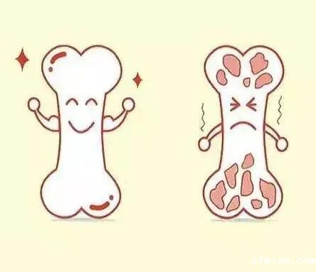 骨密度检测仪厂家提示健康养生要养骨,夏天是养骨最佳时机 骨密度检测仪厂家提示健康养生要养骨,夏天是养骨最佳时机