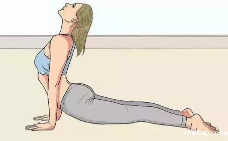 便携式骨密度检测仪提示预防脊柱疾病,何不效仿一下这种小动物姿态! 便携式骨密度检测仪提示预防脊柱疾病,何不效仿一下这种小动物姿态!