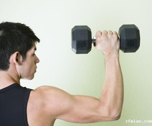 今日健身小知识!超声骨密度检测仪分享安全高效练大手臂的小技巧