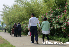 骨密度测量仪运动医学专家总结日常散步的方法可提升骨密度骨质疏松得到改善