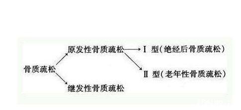 GK-7000【骨密度检测仪】品牌国康提醒骨质疏松非小事，怎样预防是关键！