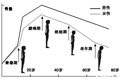 便携式骨密度仪器生产厂家国康