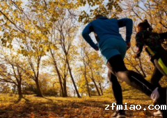 超声骨密度分析仪述跑步前没有做好充足热身运动强烈的运动是导致骨折“凶手