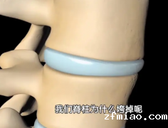 超声骨密度仪厂家提示60岁后骨骼散架”！需要补足营养，健旺骨骼