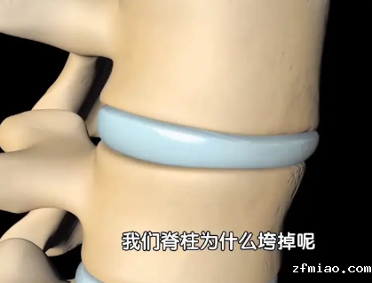 超声骨密度仪厂家提示60岁后骨骼散架”！需要补足营养，健旺骨骼