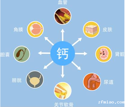 儿童超声骨密度检测仪生产厂家分析骨密度跟钙啥关系？